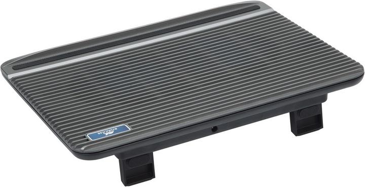 Produktbild Rivacase 5555 silver laptop cooling pad up to 15.6