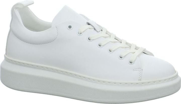 Ashley Kent Sneaker