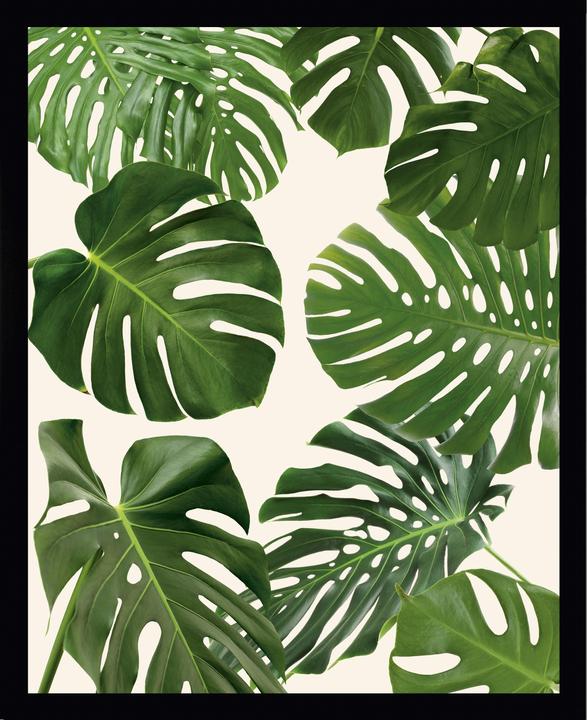 G&C Gallery Foglie di palma 4 (40 x 30 cm)