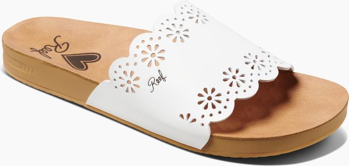 Reef Cushion Scallop Scout (40)