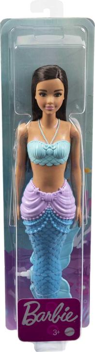 Actual product image Barbie HGR07