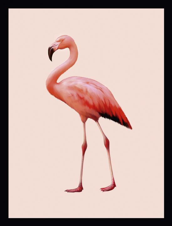 G&C Gallery Flamingo (40 x 30 cm)