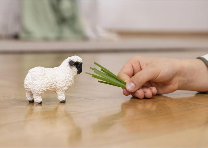 Produktbild Schleich Walliser Schwarznasenschaf
