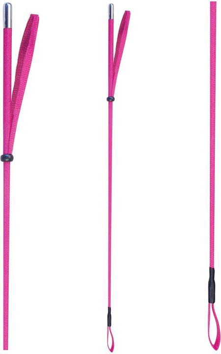 Actual product image Waldhausen Riding crop with metal cap