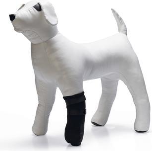 Actual product image Beeztees Bz Paw Protection Black XXL 2 (Dog)