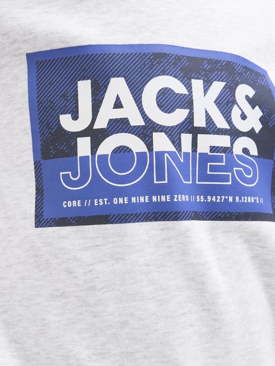Image du produit Jack & Jones Jcologan Print Sweat Hood Sn Mni (128)