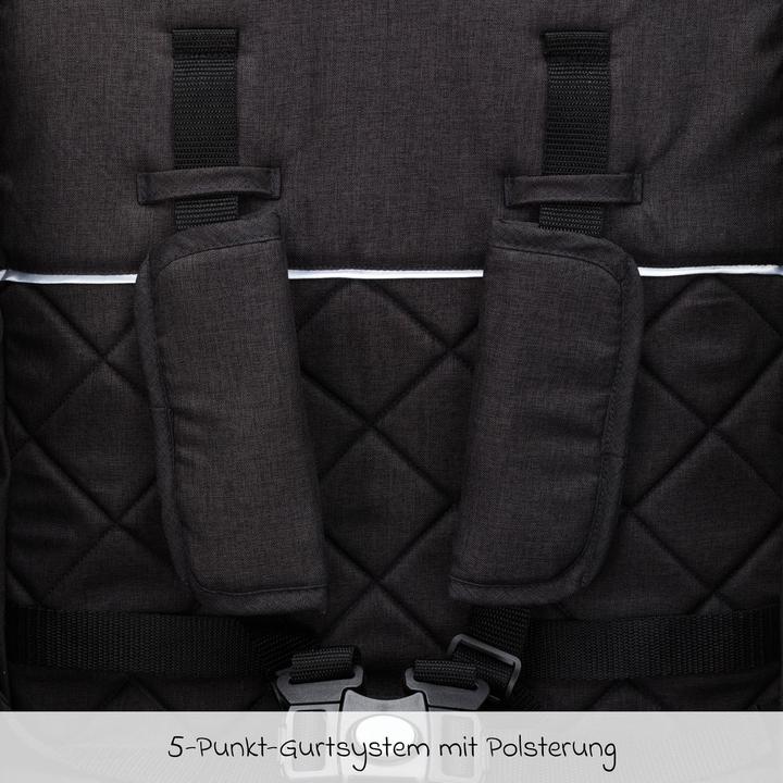 Produktbild Fillikid Buggys & Sportwagen Buggy & Sportwagen Styler Elite bis 22 kg