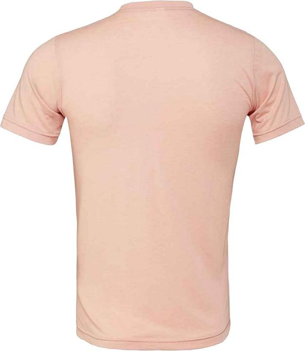 Produktbild Bella Canvas Erwachsene TriBlend TShirt (L)