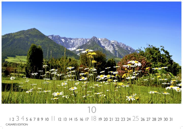 Produktbild Blumenwiese 2026 L 35x50cm (35 x 50 cm, Deutsch)
