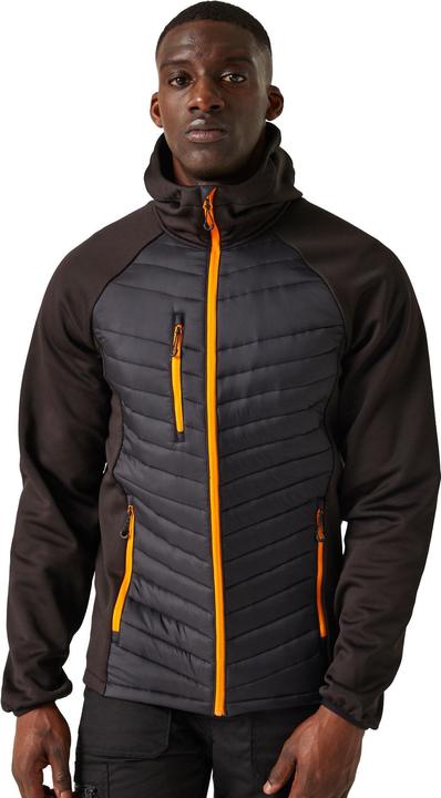 Produktbild Regatta Navigate Hybridjacke (M)