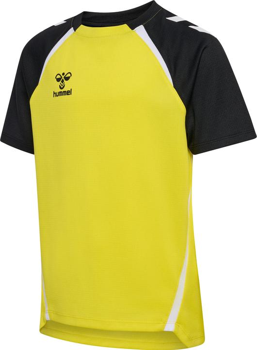 blazingyellowblack