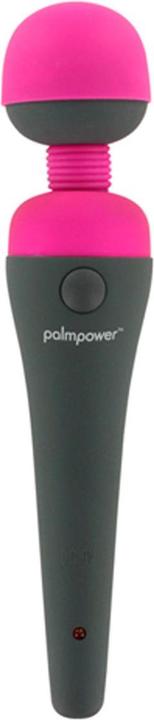 Produktbild Palmpower Massager