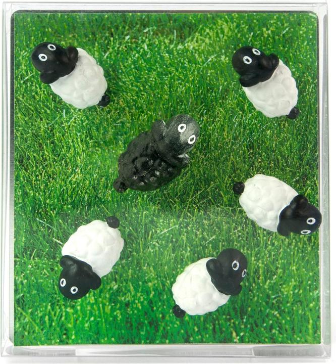 Produktbild Trendform Sheep (6 x)