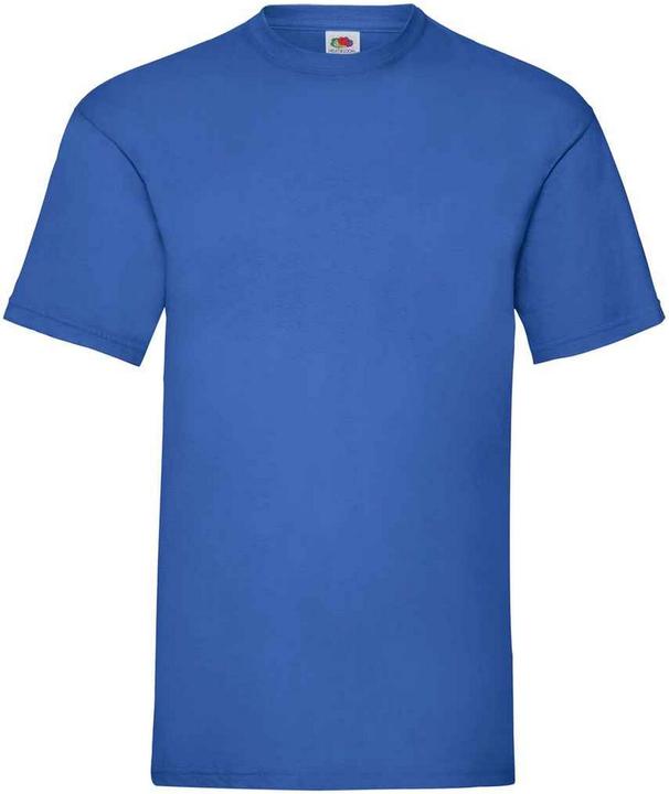 Fruit of the Loom Valueweight TShirt (L)