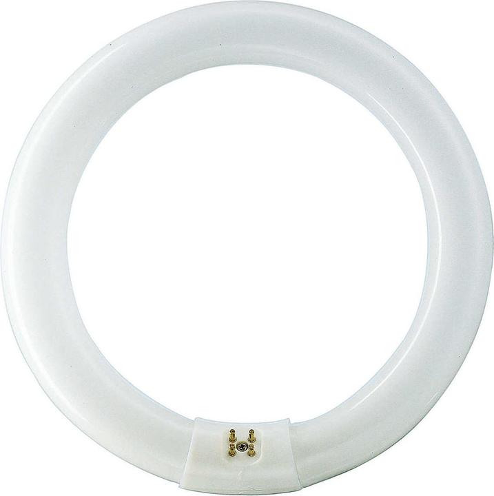Image du produit Philips Lampe fluorescente (G10q, 40.80 W, 3200 lm, 1 x, G)