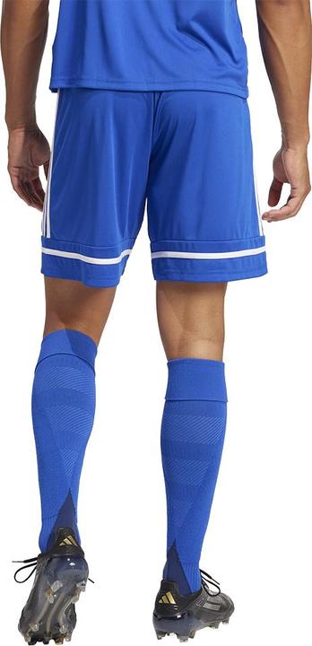 Actual product image adidas Squadra 25 Short (3XL)
