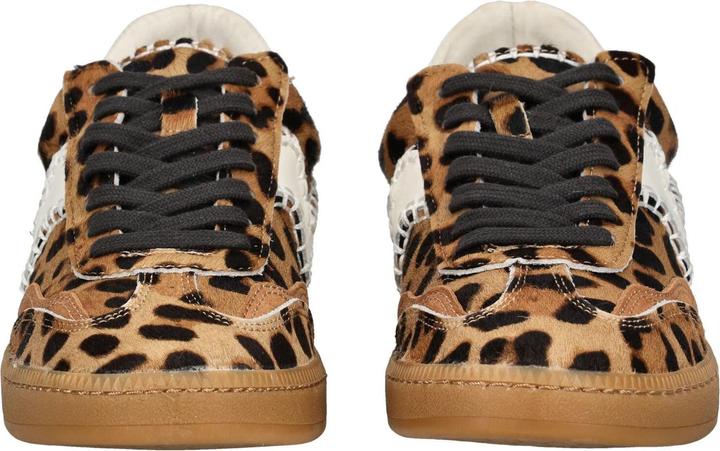 Actual product image Dolce Vita Sneaker (41)