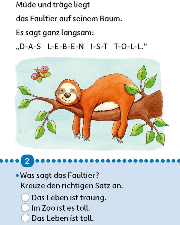 Produktbild Lesen lernen 1. Klasse für Jungen und Mädchen - Tiergeschichten (Deutsch, Carola Materna, Susanne Schulte, 2020)