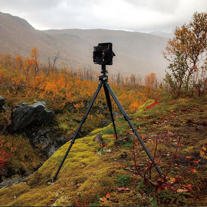 Image du produit Falcam TreeRoot Quick Lock Pro Tripod T00A4901