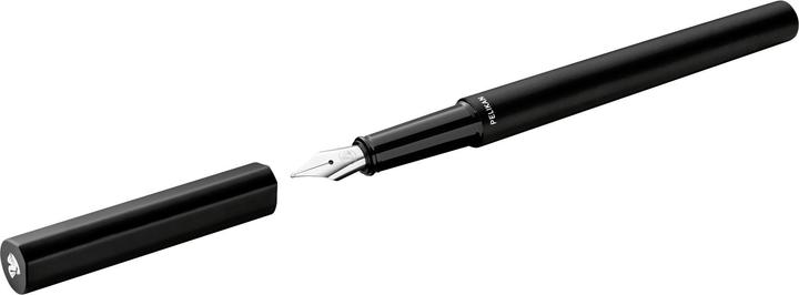 Actual product image Pelikan Fountain pen Ineo Elements P6 1 ST case (Black Rock, 1 x)