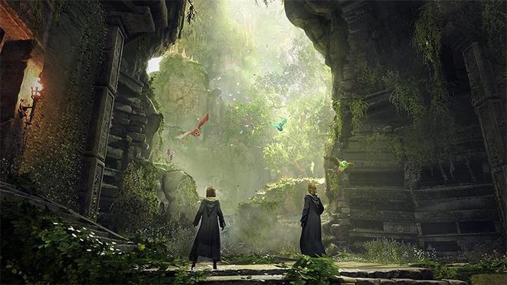 Image du produit WB Hogwarts Legacy (Switch 2, DE)