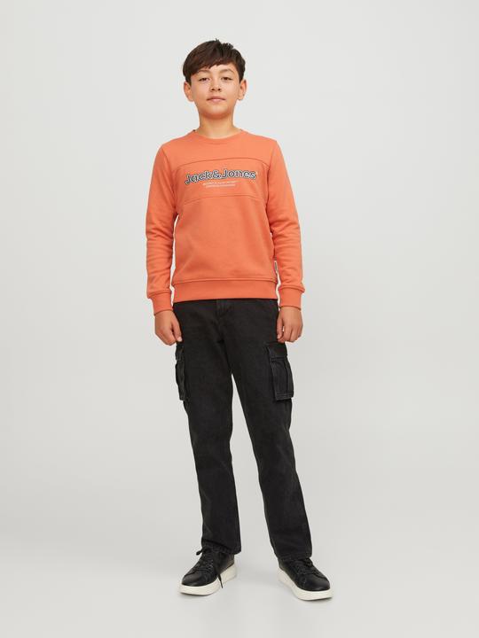 Actual product image Jack & Jones Boys Crew Neck Sweatshirt (176)