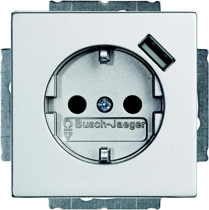 Actual product image Busch-Jaeger Schuko/USB socket