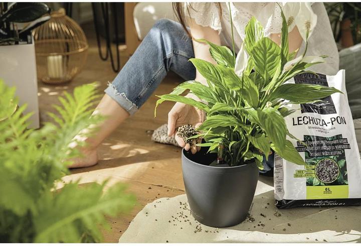 Actual product image Lechuza Classico Color (21.50 cm)