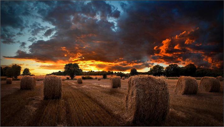 Image du produit Samsung 46" VM46B-U 500NITS 24 (1920 x 1080 pixels, 46")