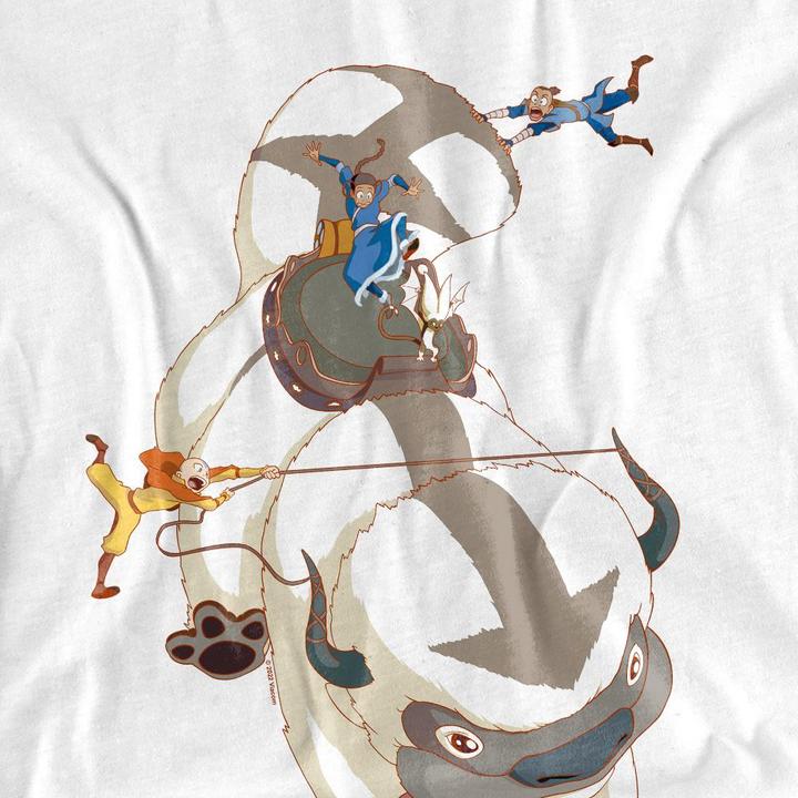 Produktbild Avatar: The Last Airbender Hang On TShirt (M)