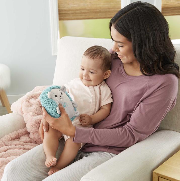 Actual product image Fisher-Price Calming Vibes Hedgehog Soother