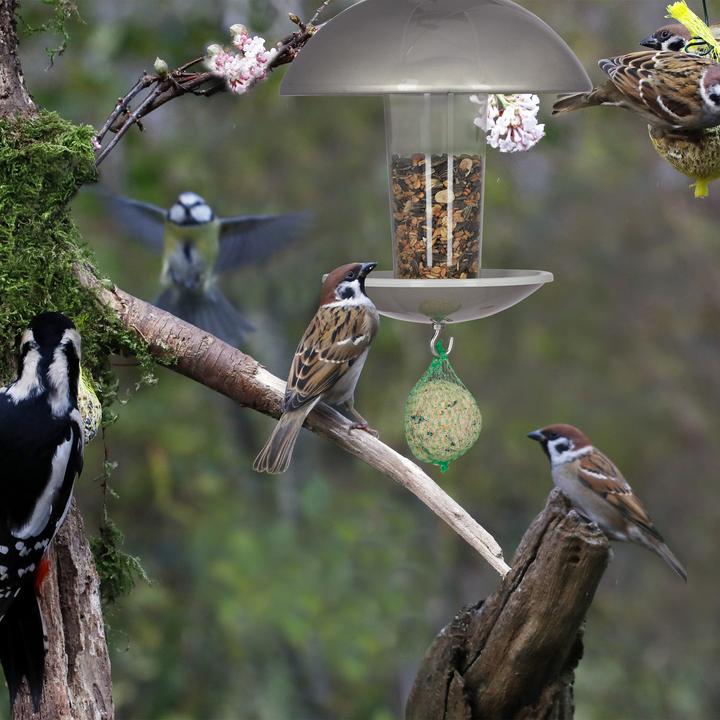 Productafbeelding Relaxdays Vogelvoederhuisje