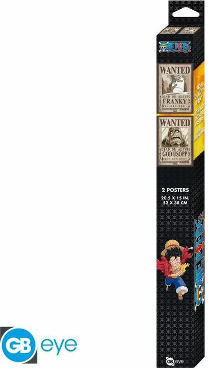 Actual product image GB Eye One Piece - Franky & Usopp (52 x 38 cm)
