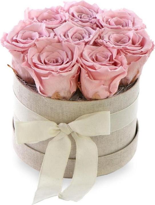 Soli Collection Fiori secchi Rose 8 pezzi, Rosa (Fiori secchi)