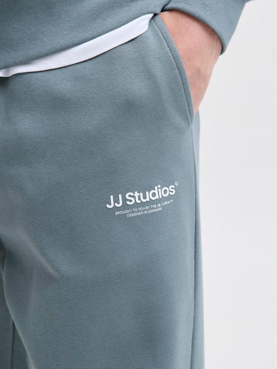 Actual product image Jack & Jones Jpstkane Soho Sweat Pants Noos (L)