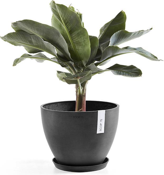 Produktbild Ecopots Saucer Round