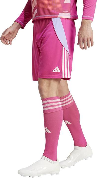 Actual product image adidas TIRO24 SHORT (M)