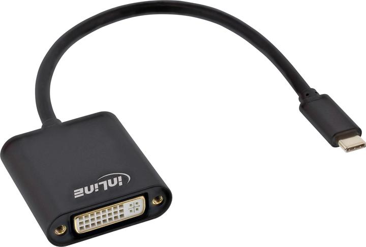 Immagine prodotto InLine Convertitore display USB (DVI, 20 cm)