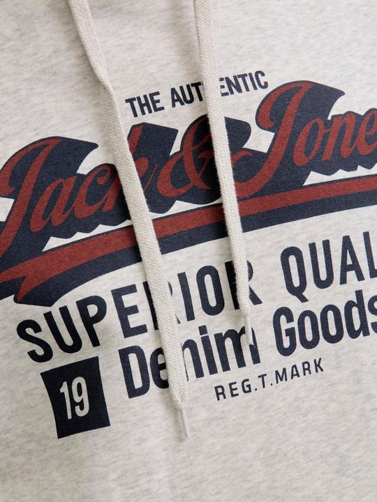 Actual product image Jack & Jones JJELOGO SWEAT HOOD 2 COL 25/26 NOOS (M)