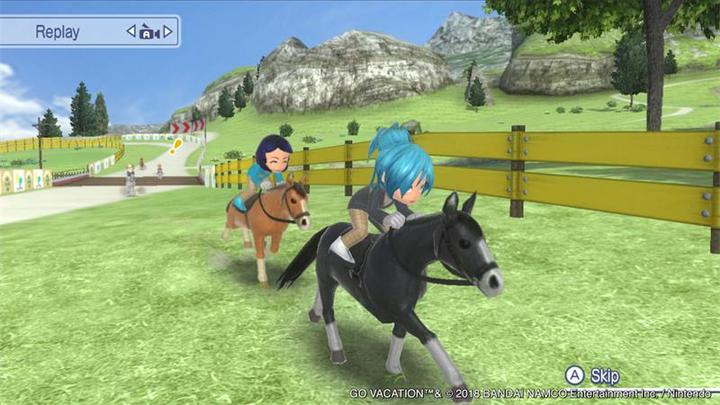 Actual product image Nintendo Go Vacation (Switch, DE)
