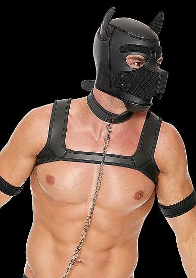 Actual product image Ouch! Puppy Kit
