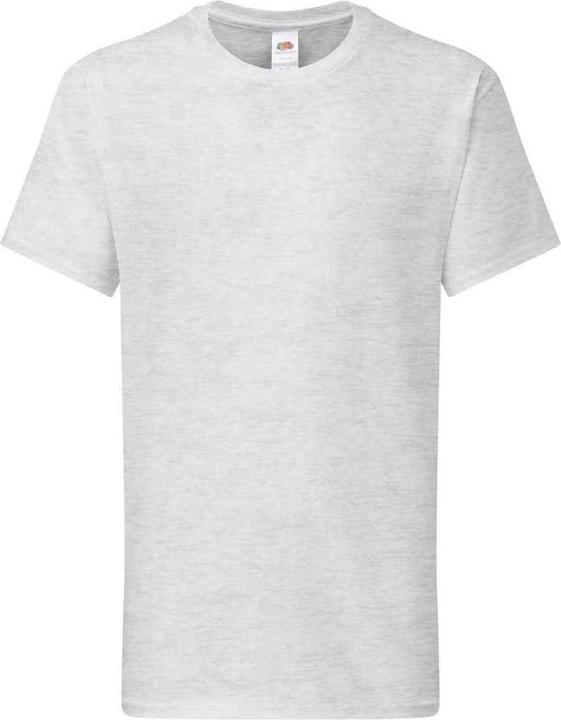 Fruit of the Loom Iconic 195 Premium TShirt