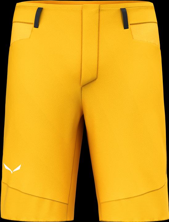 Actual product image Salewa Agner DST Shorts (54)