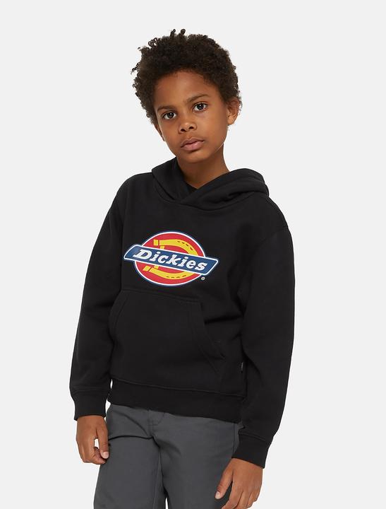 Produktbild Dickies Youth Logo Hoodie (XS)
