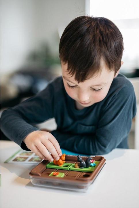 Immagine prodotto Smart Games Squirrels Go Nuts (Tedesco, Francese, Italiano, Inglese)