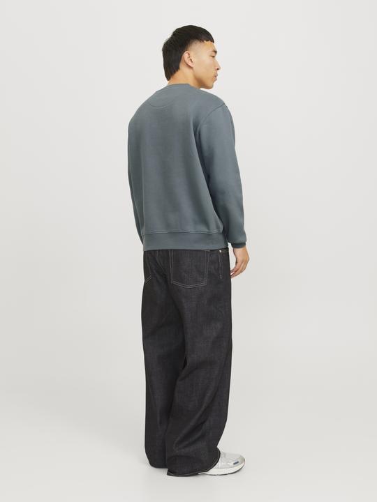 Immagine prodotto Jack & Jones Jorvesterbro Sweat Crew Neck Noos (L)