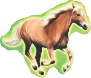 Image du produit Totum Sticker chevaux 10.2x20cm