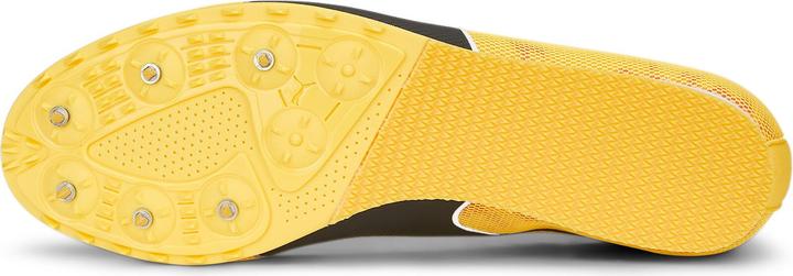 Image du produit Puma evoSPEED Star 8 (44.5)