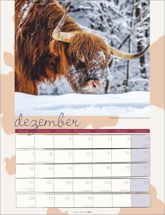 Actual product image Kuh Kalender 2026 (30 x 39 cm, German)