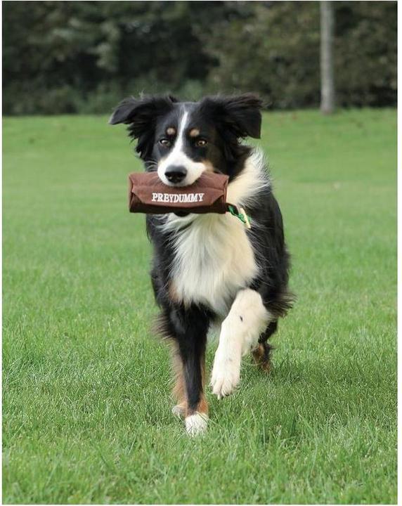 Actual product image Trixie Preydummy (Retrieval, Litter toy dog)